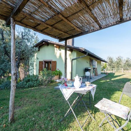 Belvilla By Oyo Il Leccio E Le Rose Arezzo Exteriér fotografie